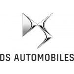 Discount DS Diamond Car Mats