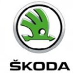Discount Skoda Diamond Car Mats